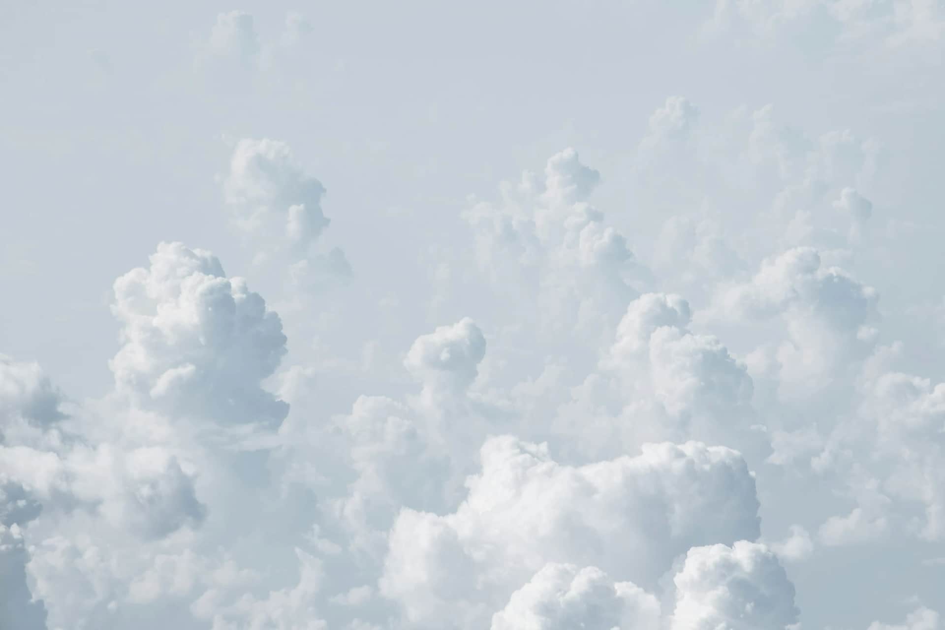 phone preview background
