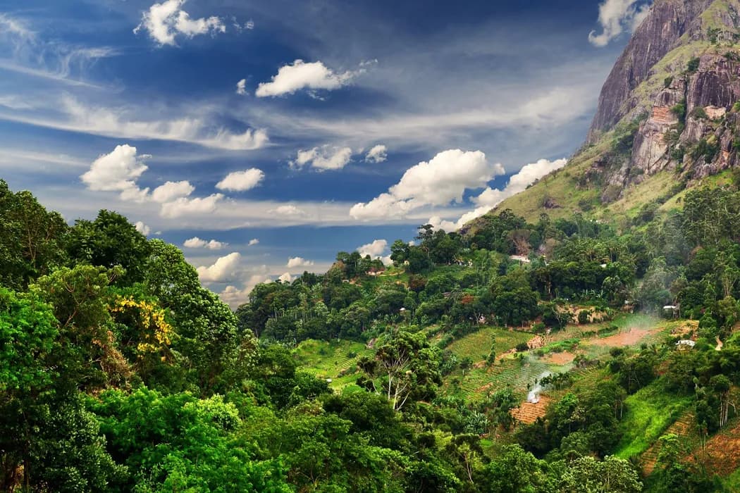 8 Günlük Sri Lanka Turu, Türk Hava Yolları ile