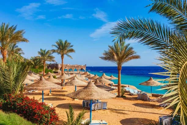 6 Günlük Kahire ve Sharm El Sheikh Turu, Uçak ile