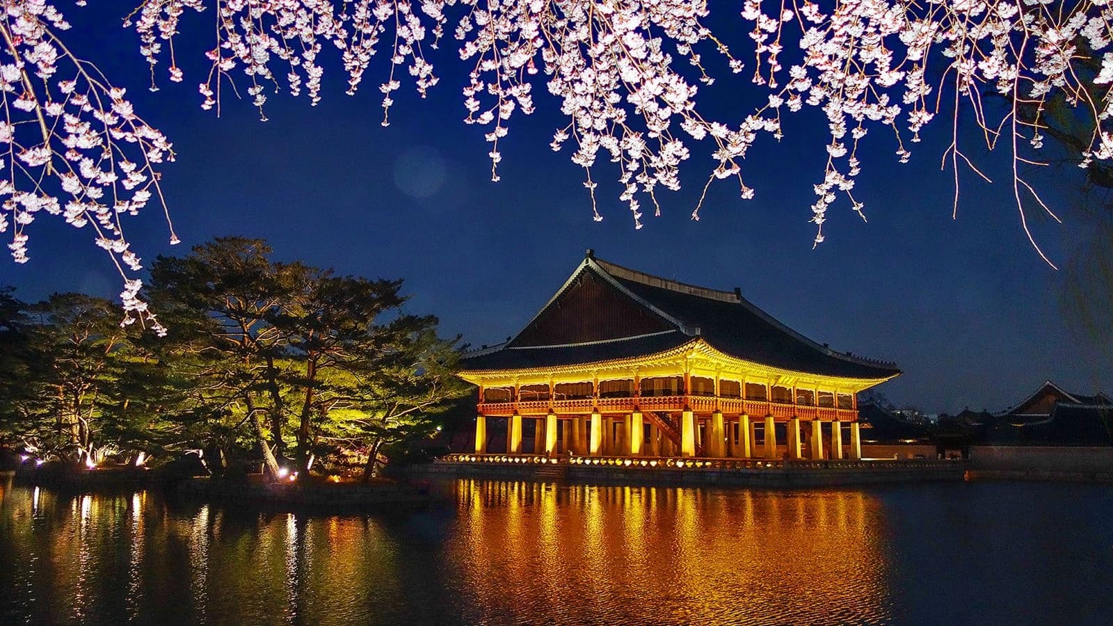 9 Günlük Japonya ve Kore Turu, THY ile