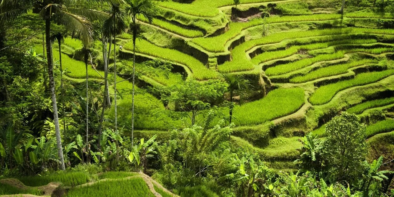 Kuala Lumpur, Bali, Phuket ve Bangkok Turu, 13 Gün