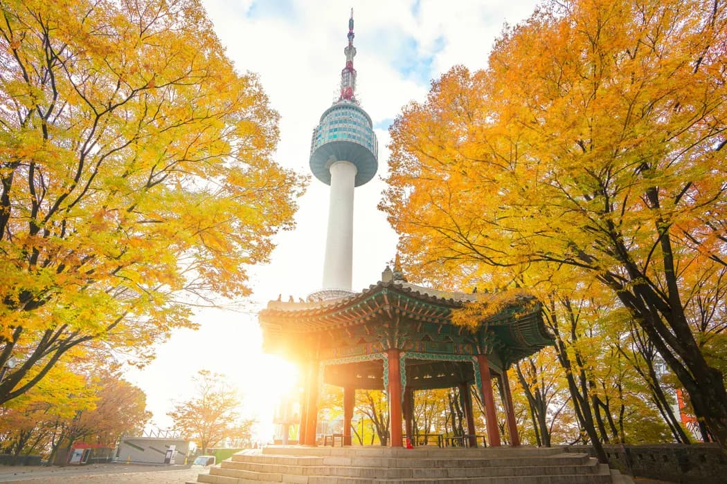 11 Günlük Japonya ve Güney Kore Turu – THY ile