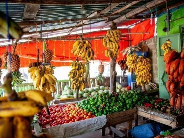 7 Günlük Zanzibar Turu, Air Cairo ile