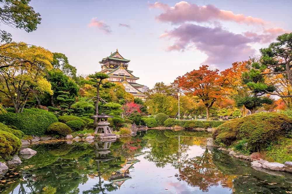 8 Günlük Japonya Turu, Türk Hava Yolları ile