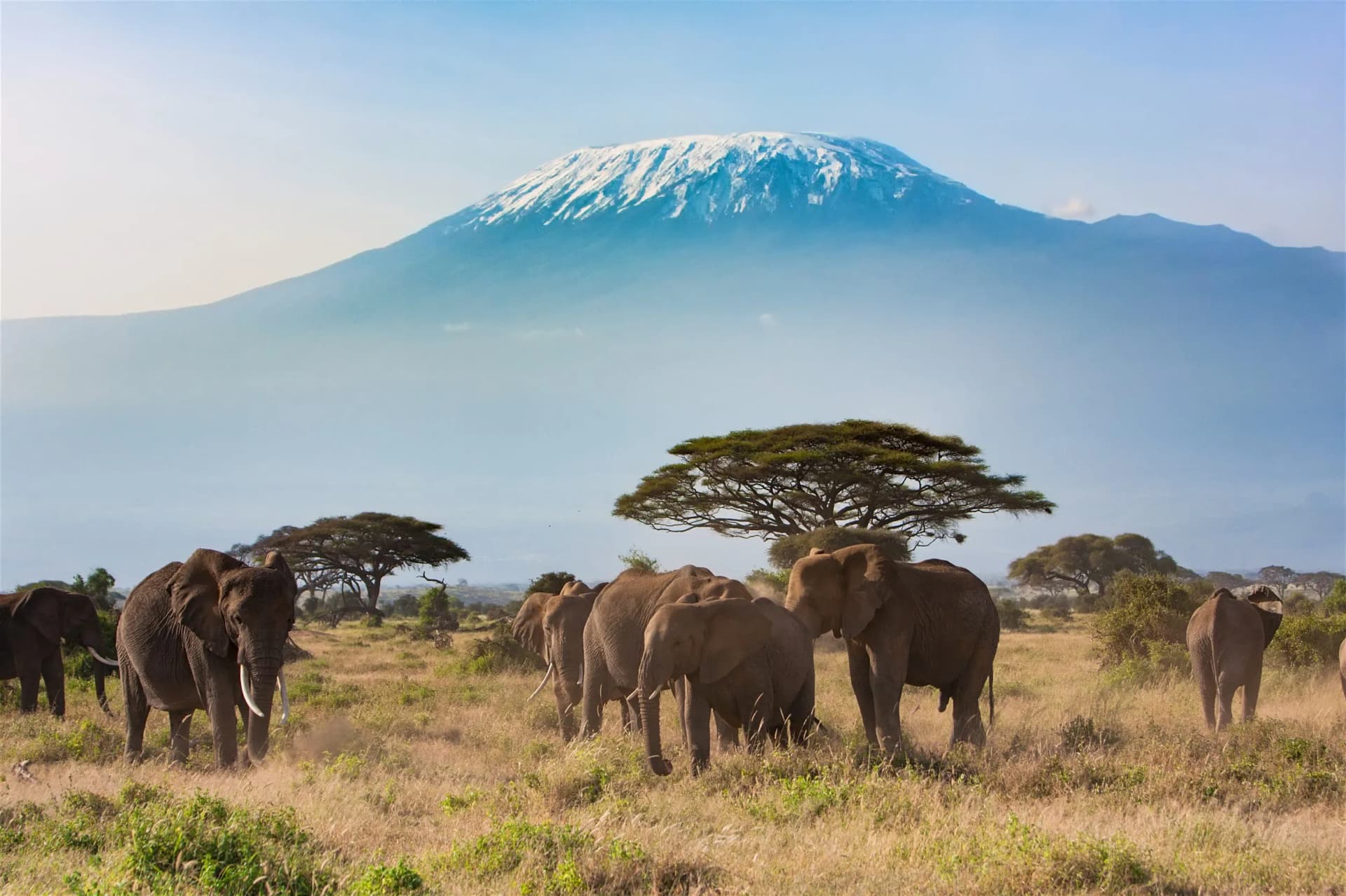 6 Günlük Güney Afrika ve Safari Turu, THY ile Vizesiz