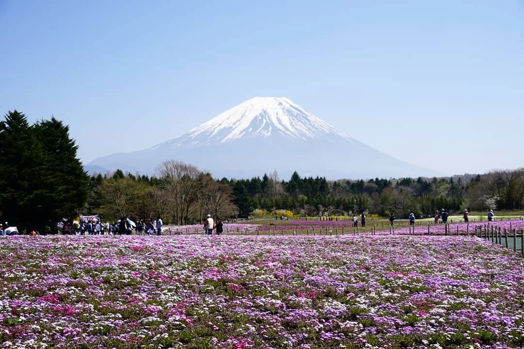 9 Günlük Japonya ve Kore Turu, THY ile