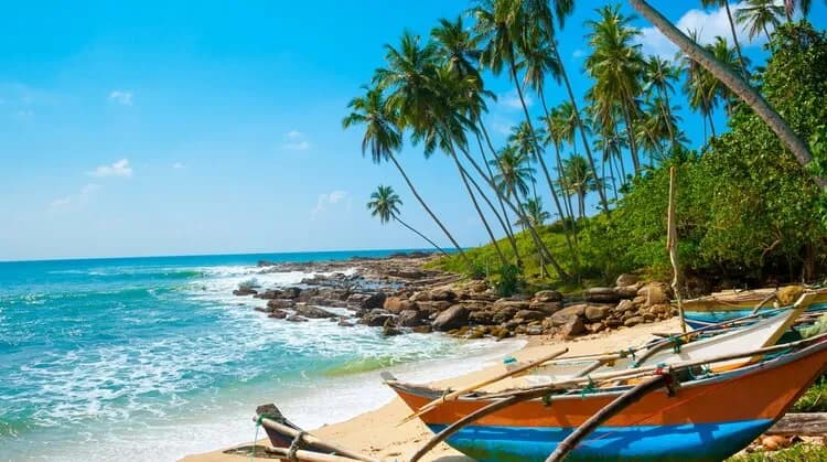 7 Günlük Sri Lanka Turu, THY ile Uçaklı