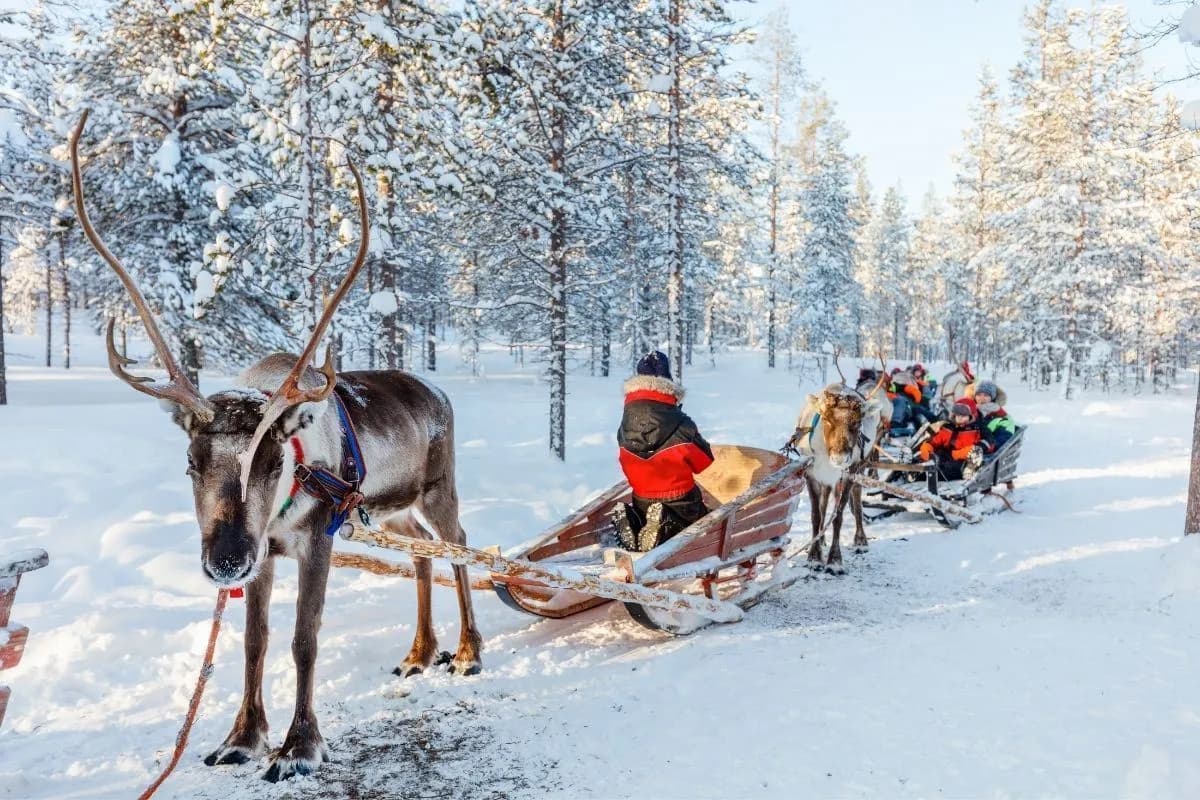 4 Günlük Kuzey Işıkları ve Lapland Turu