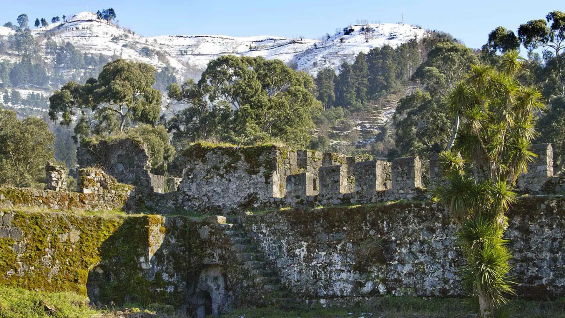 5 Günlük Karadeniz Yaylalar ve Batum Turu
