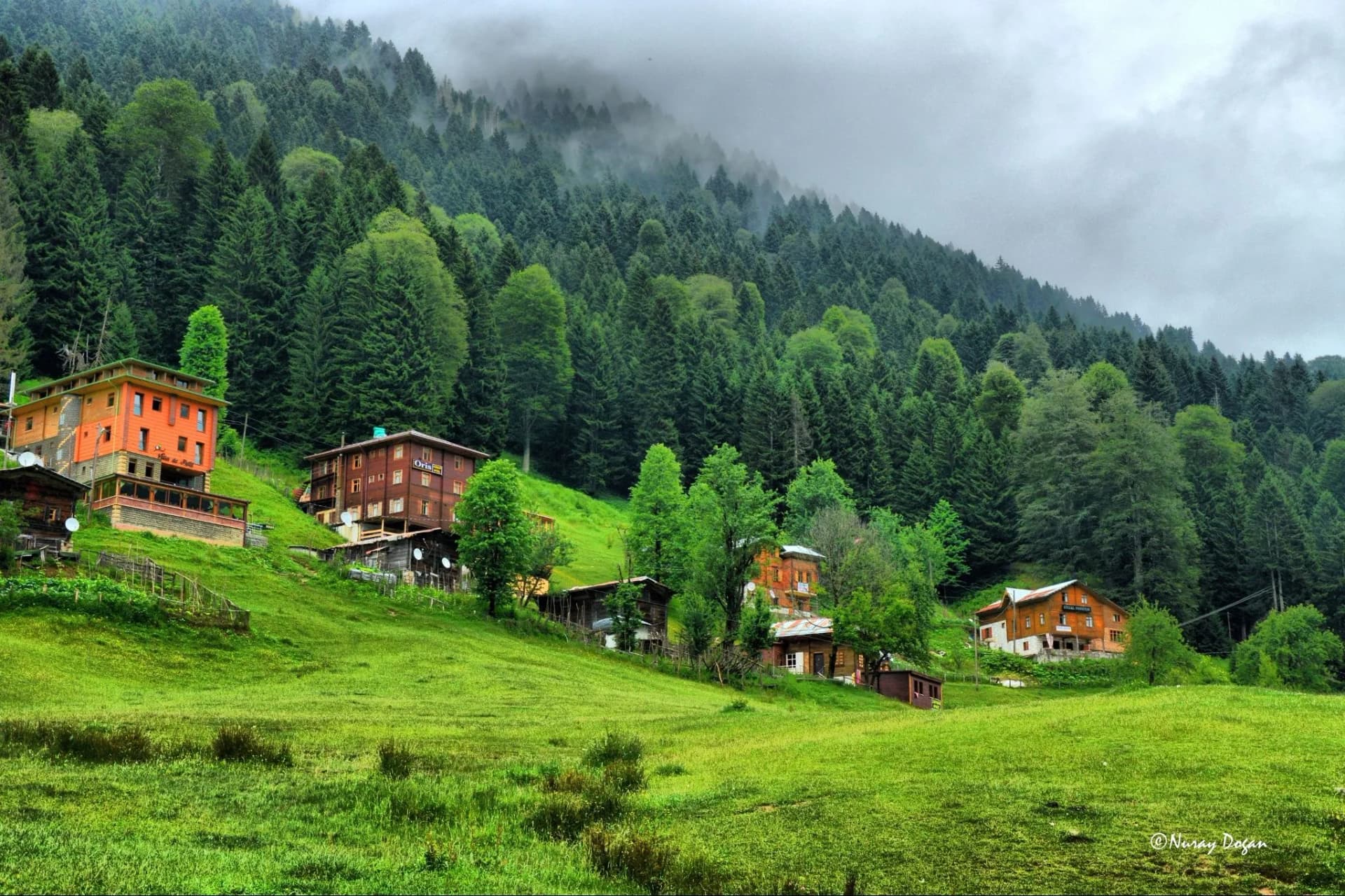 4 Günlük Karadeniz Yaylalar ve Batum Turu, Uçaklı