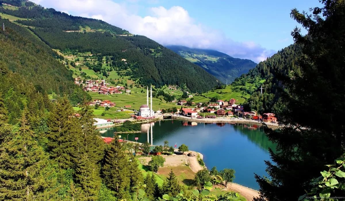 6 Günlük Karadeniz Yaylalar ve Batum Turu, Otobüs ile