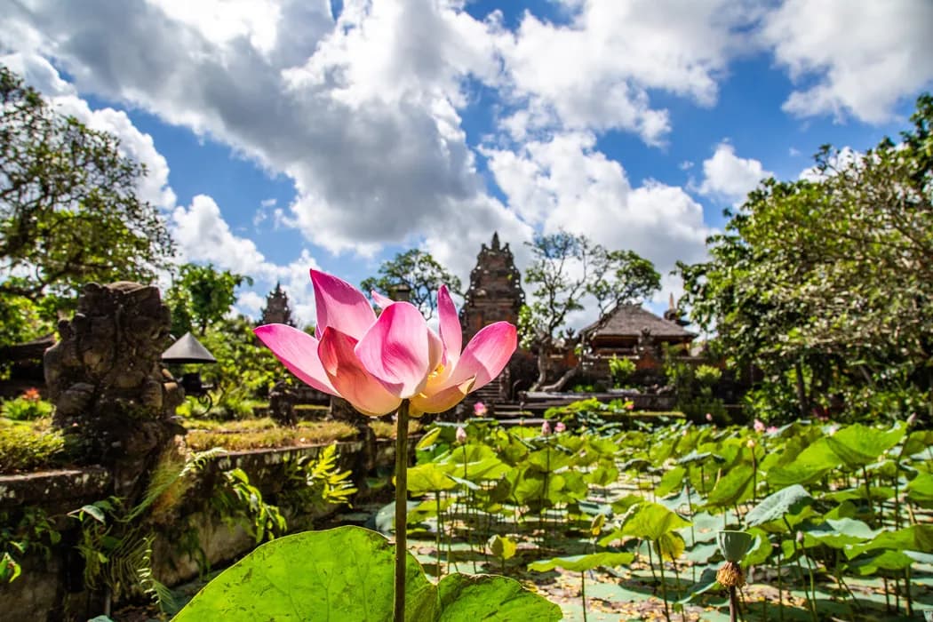 8 Günlük Bali Ubud Turu, THY ile Vizesiz