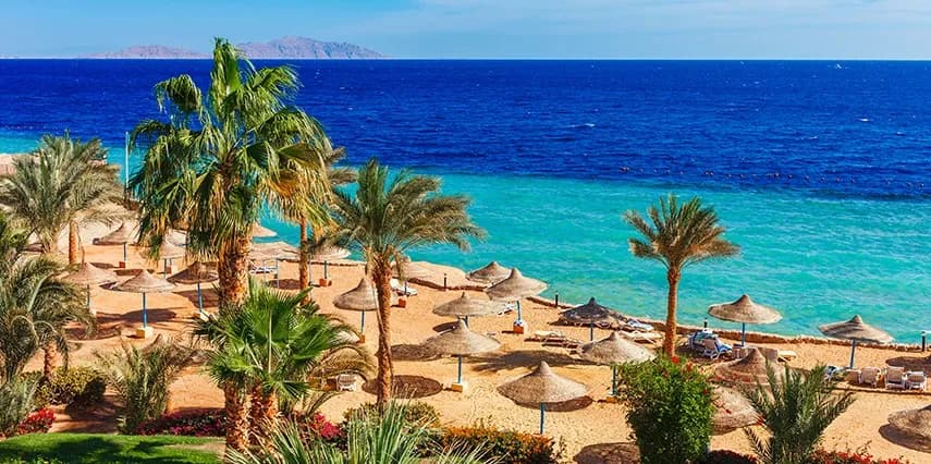 5 Günlük Sharm El Sheikh Turu, Türk Hava Yolları ile