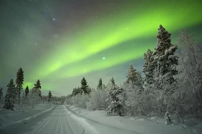 5 Günlük Lapland Turu, THY ile