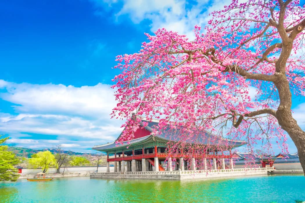 10 Günlük Japonya Turu – THY ile Vizesiz Ekstra Turlar Dahil