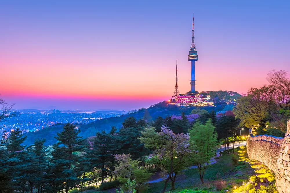 10 Günlük Japonya Turu, Uçak ile