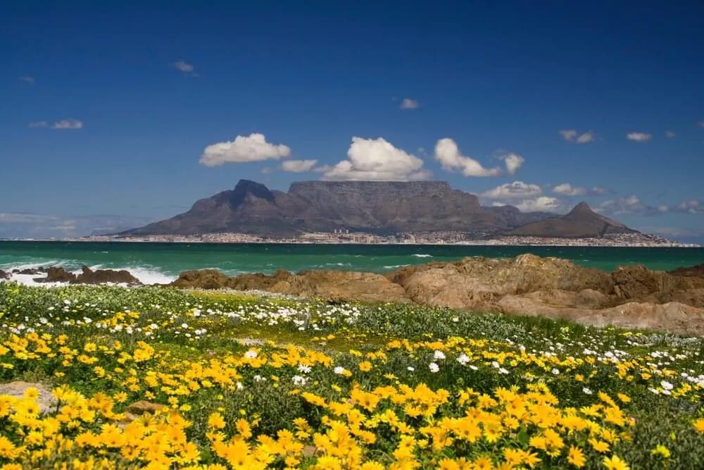 10 Günlük Güney Afrika 4 Ülke ve Victoria Şelalesi Turu, THY ile
