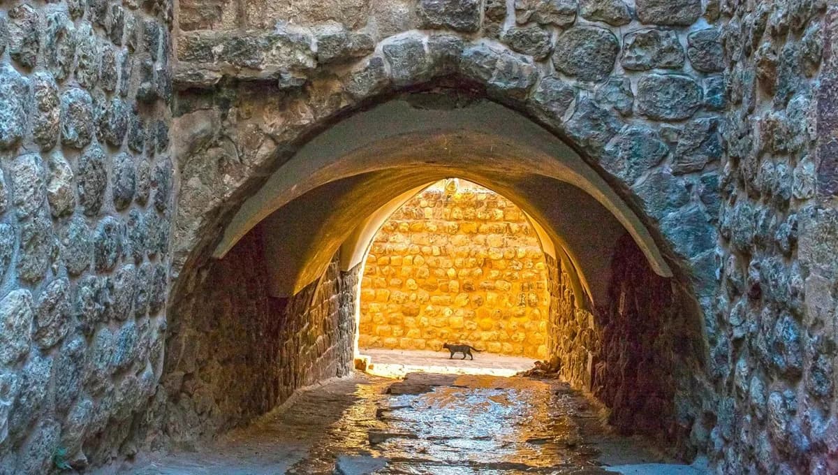7 Günlük Gap Turu – Ramazan Bayramı Özel