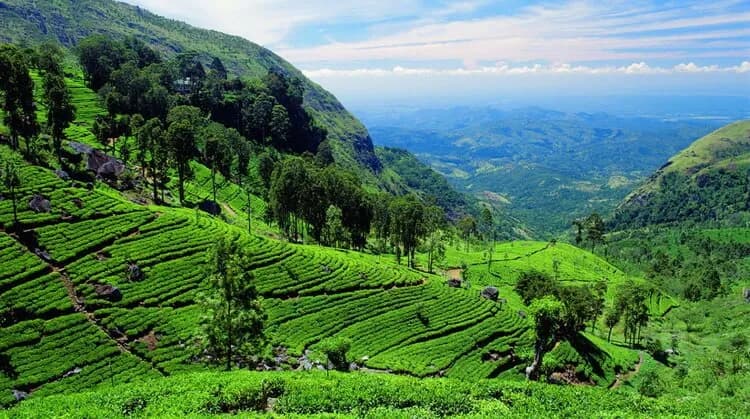 8 Gün Sri Lanka Turu – THY ile Ekstra Turlar Dahil