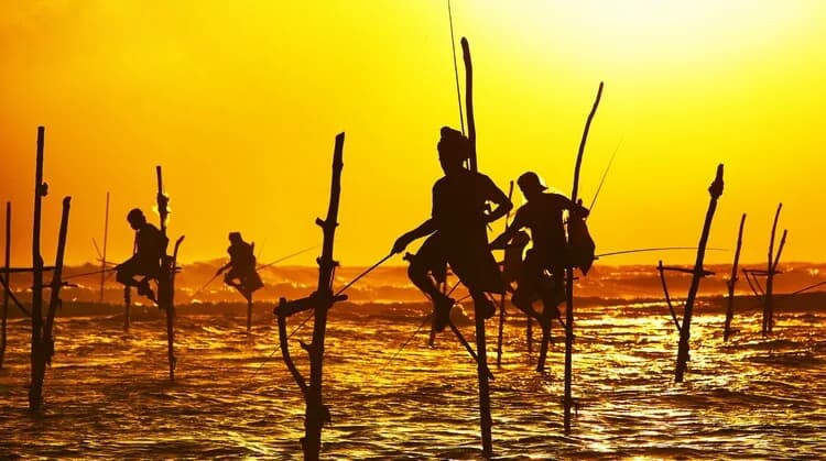 8 Gün Sri Lanka Turu – THY ile