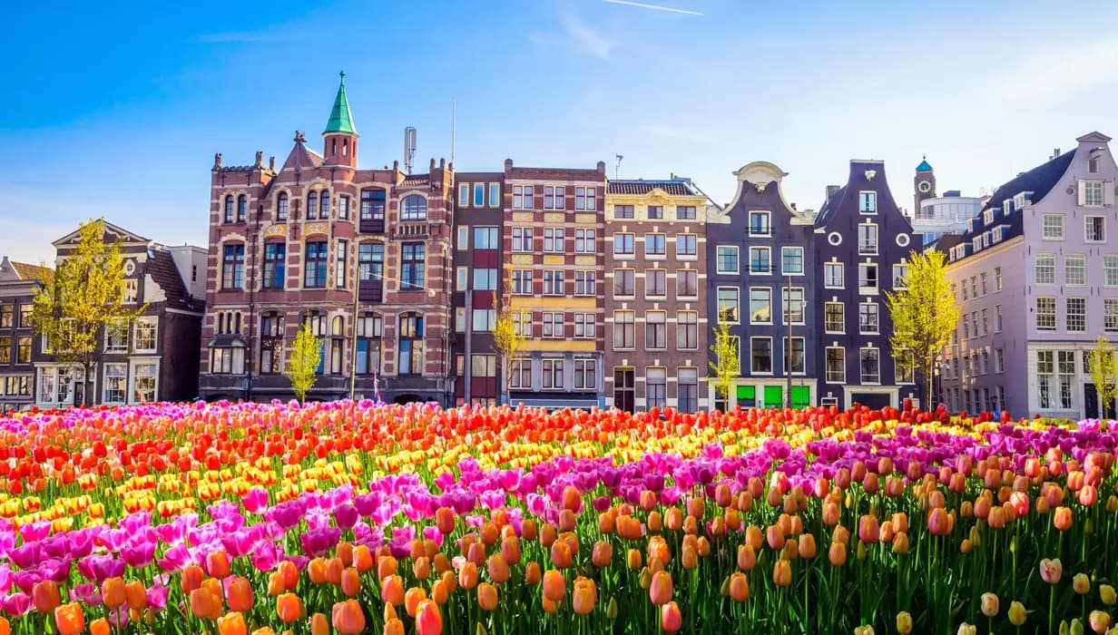 7 Günlük Benelüks Paris Köln Colmar Turu