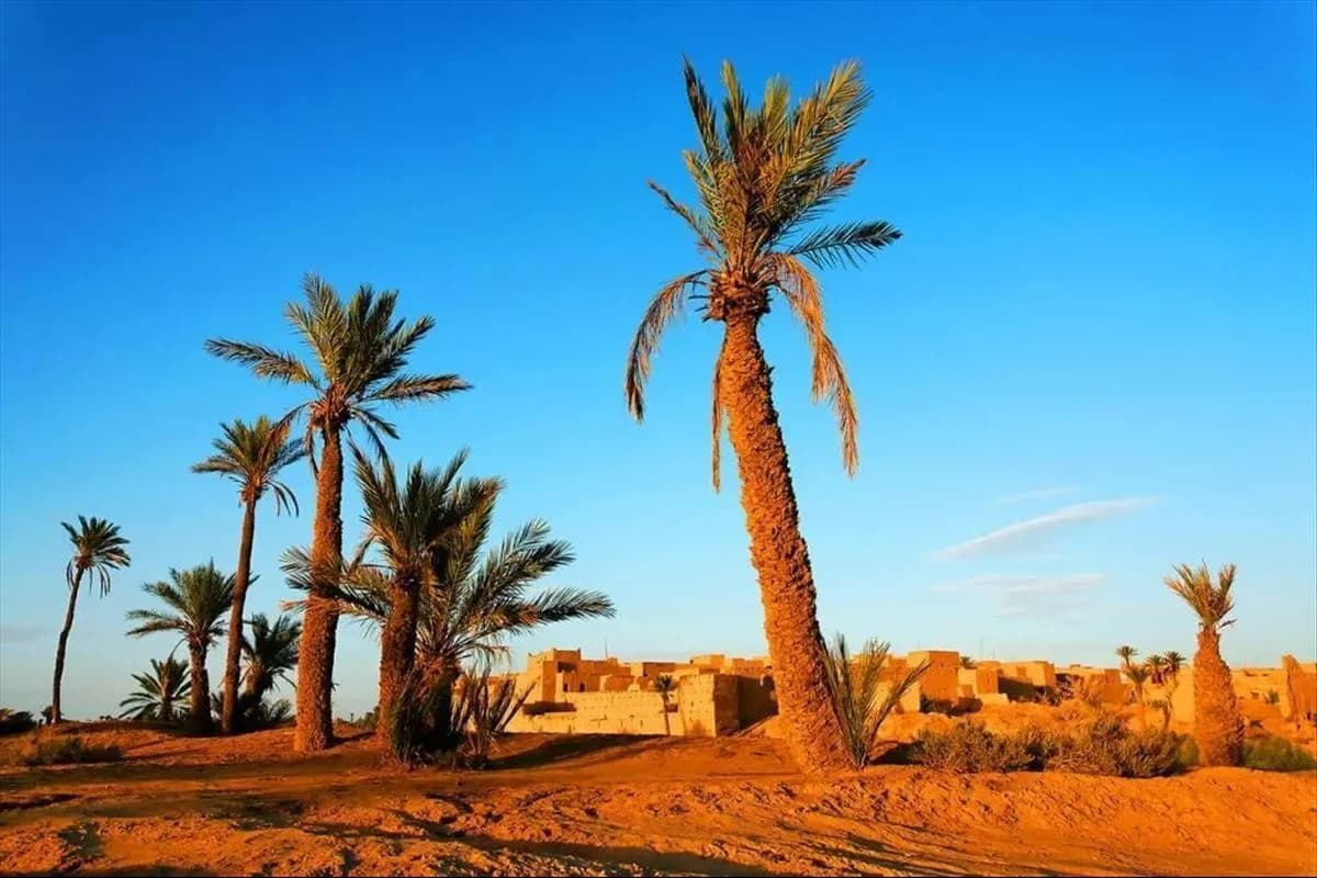 Viva Fas ve Sahra Çölü Turu Air Arabia ile Vizesiz / 6 Gece Otel Konaklamalı / İstanbul Çıkışlı / 2027