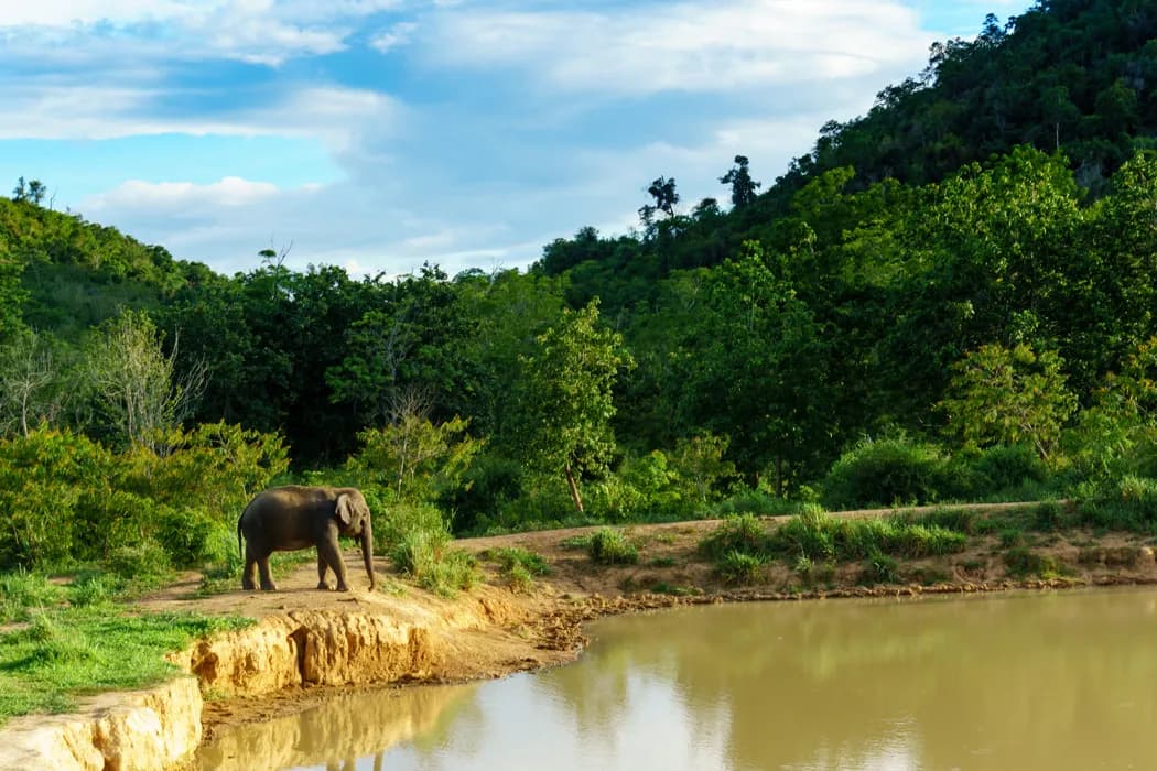 8 Günlük Sri Lanka Turu, Türk Hava Yolları ile