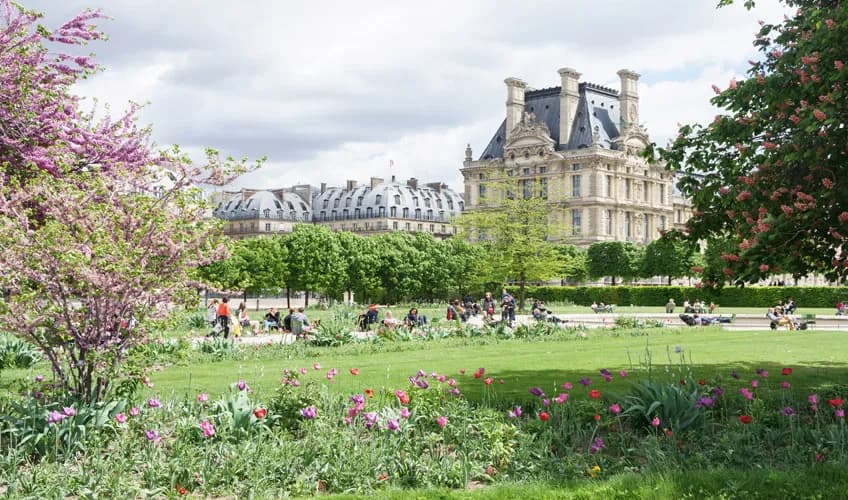 8 Günlük Benelüks Paris Alsace Turu, THY ile