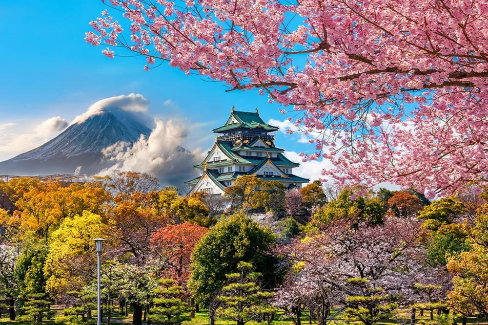 Comfort Japonya ve Kore Turu THY ile Ekstra Turlar Dahil / 7 Gece Otel Konaklamalı / İstanbul Çıkışlı / 2027